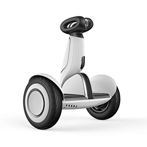 electric transportation for adults