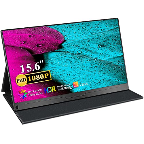 best portable monitor reddit